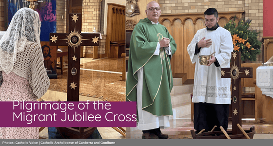 ACMRO News November 2025 