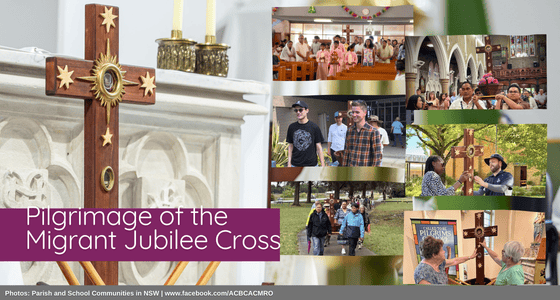 ACMRO News February 2026